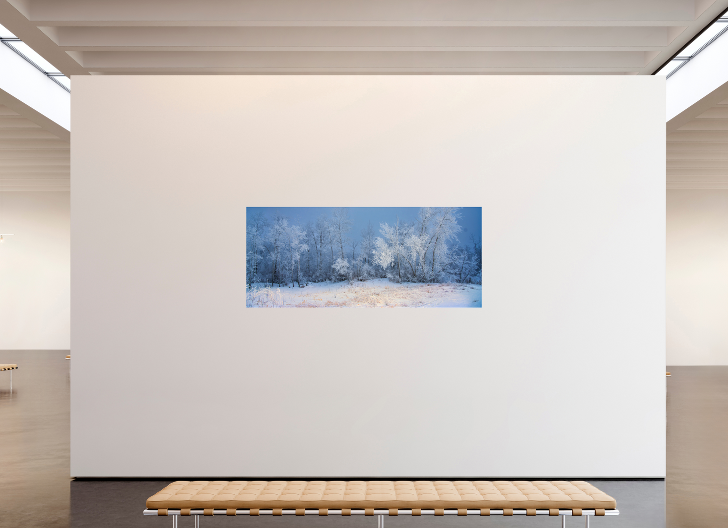 81.7 x 35″, Photo Print Under Acrylic Glass Frost of Winter - Metal Acrylic Glass