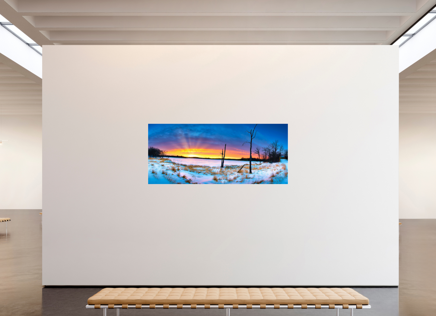 81 x 35″, Photo Print Under Acrylic Glass Winter Walk Acrylic Glass
