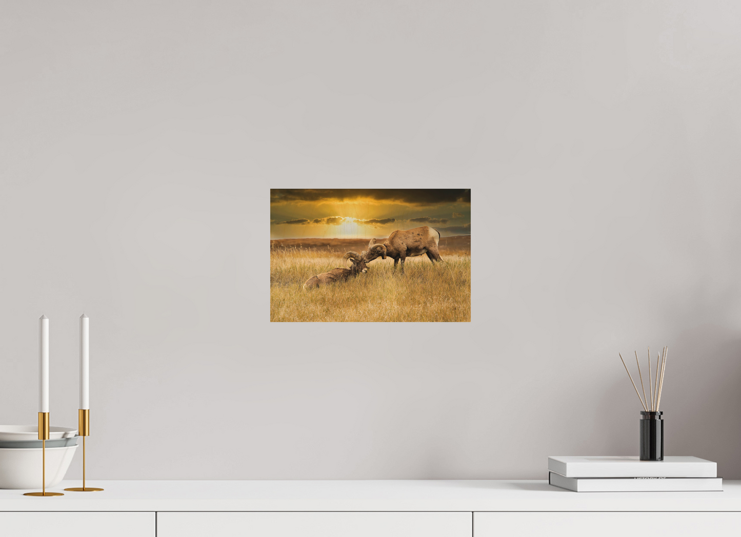 12 x 8″, Wood Print Badlands Sheep Kiss