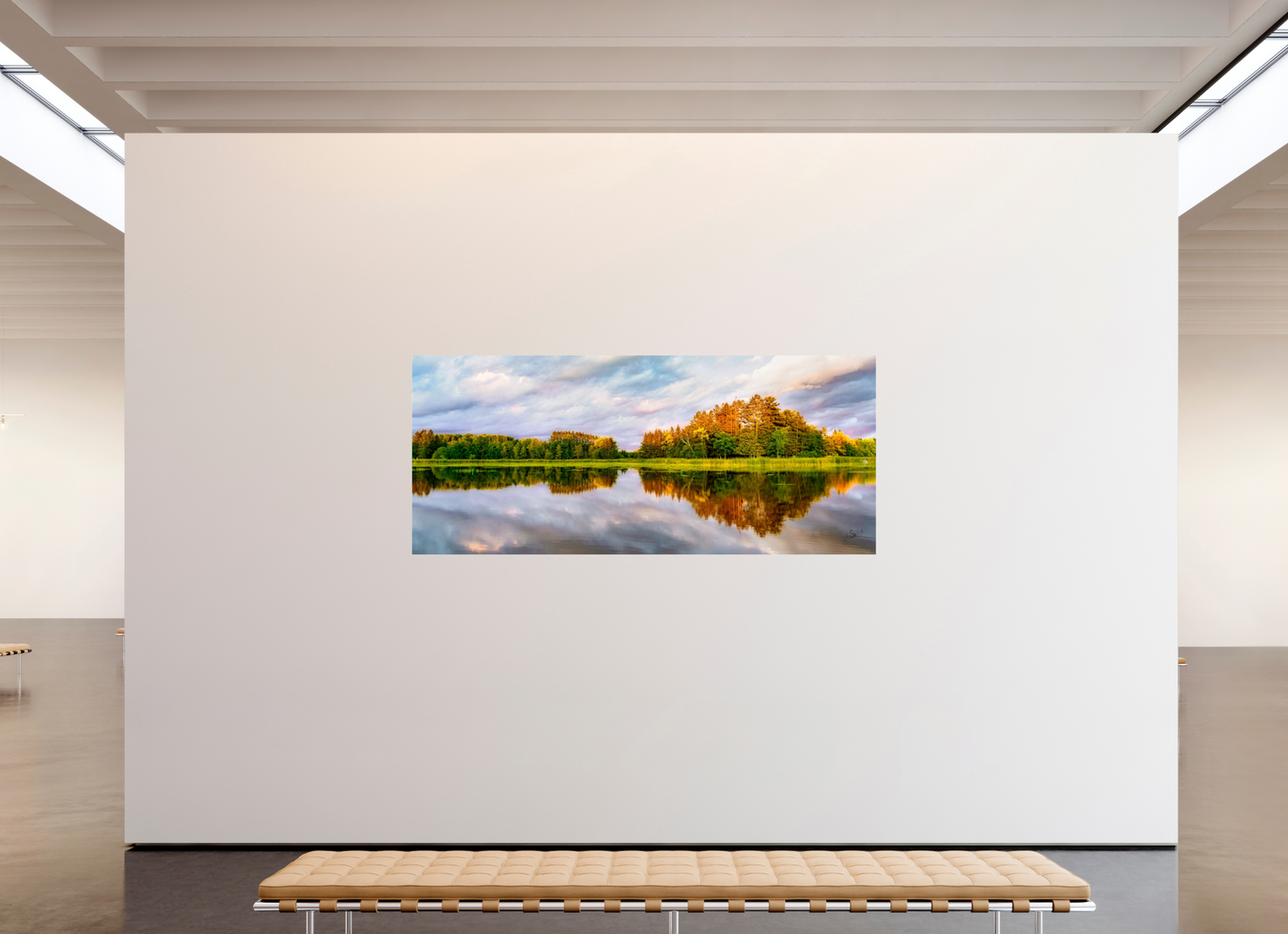 91 x 39″, Photo Print Under Acrylic Glass Lone Eagle Metal Acrylic Glass
