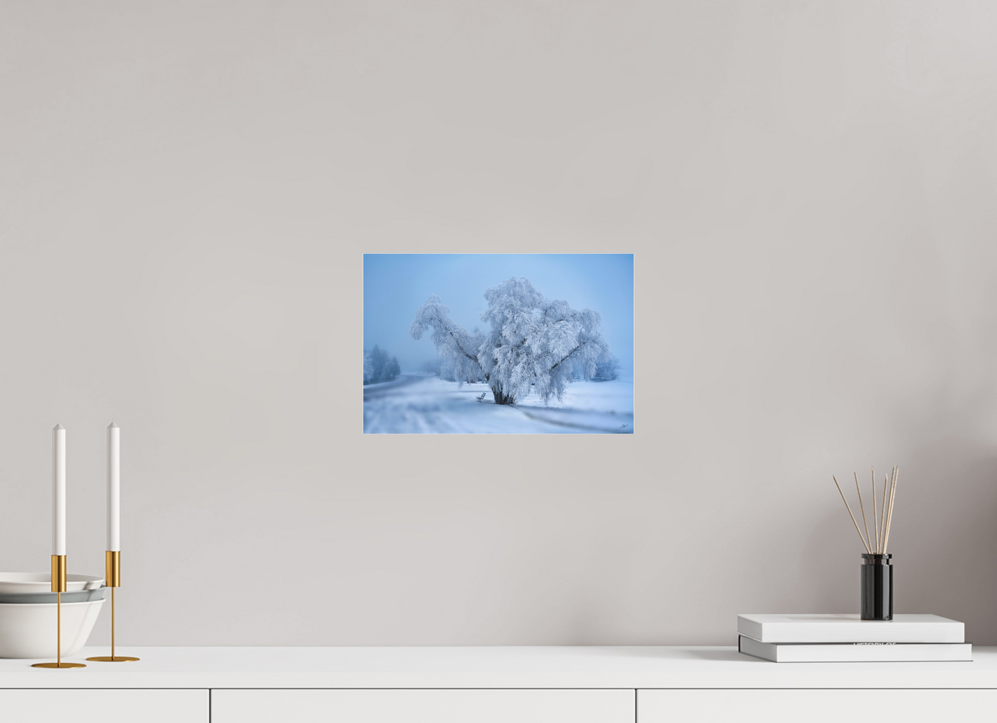 12 x 8″, Photo Print Under Acrylic Glass An Oak in Frost - Acrylic Glass