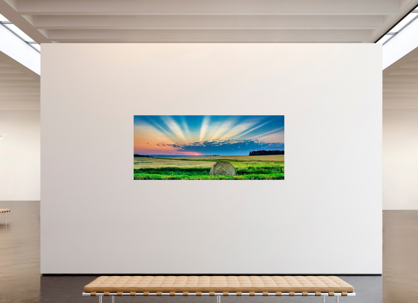 91 x 39″, Metal Prints Good Morning Sunshine