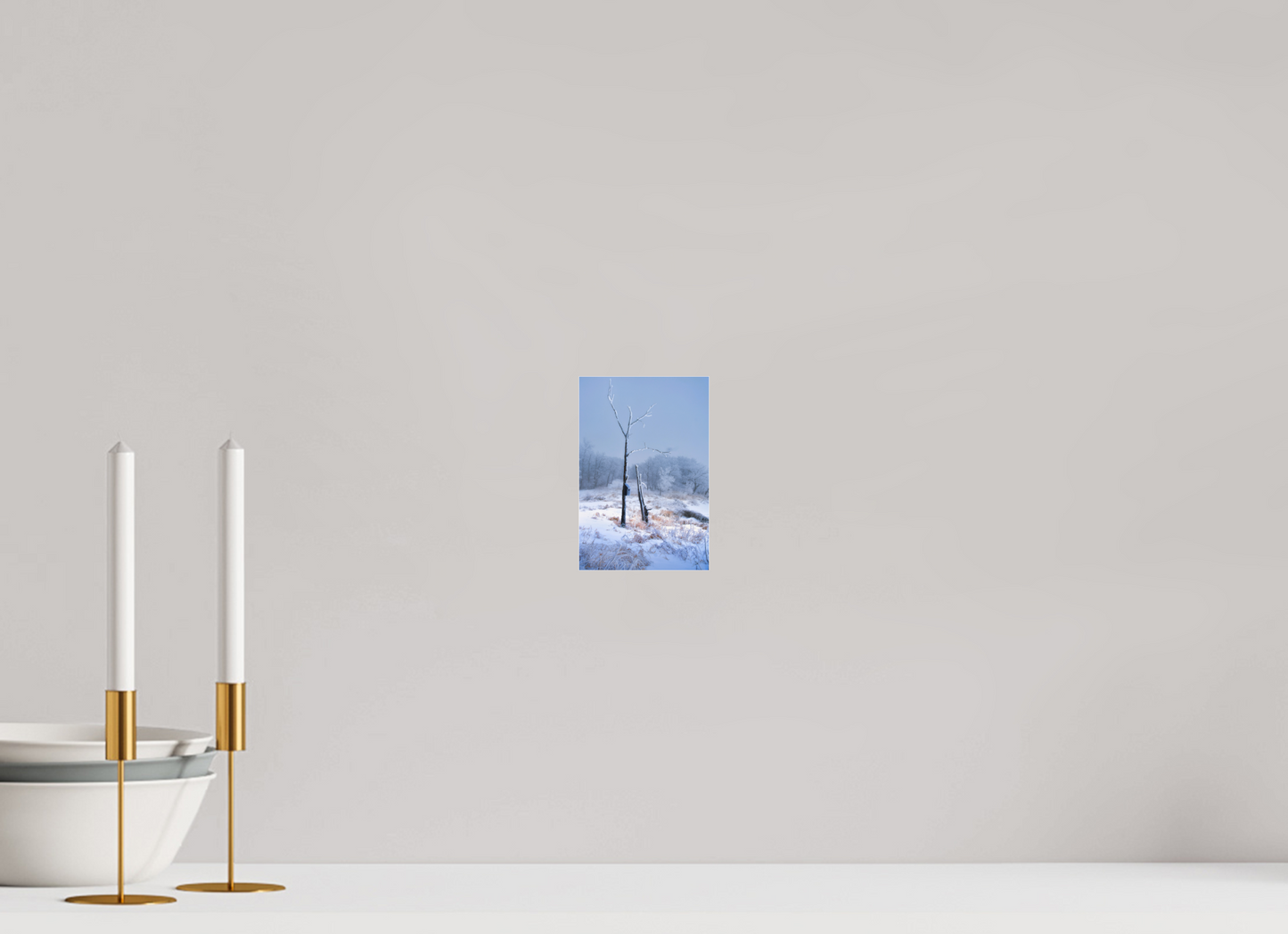 4 x 6″, Photo Print Under Acrylic Glass Birds Nest in Winter 2 - Metal Acrylic Glass