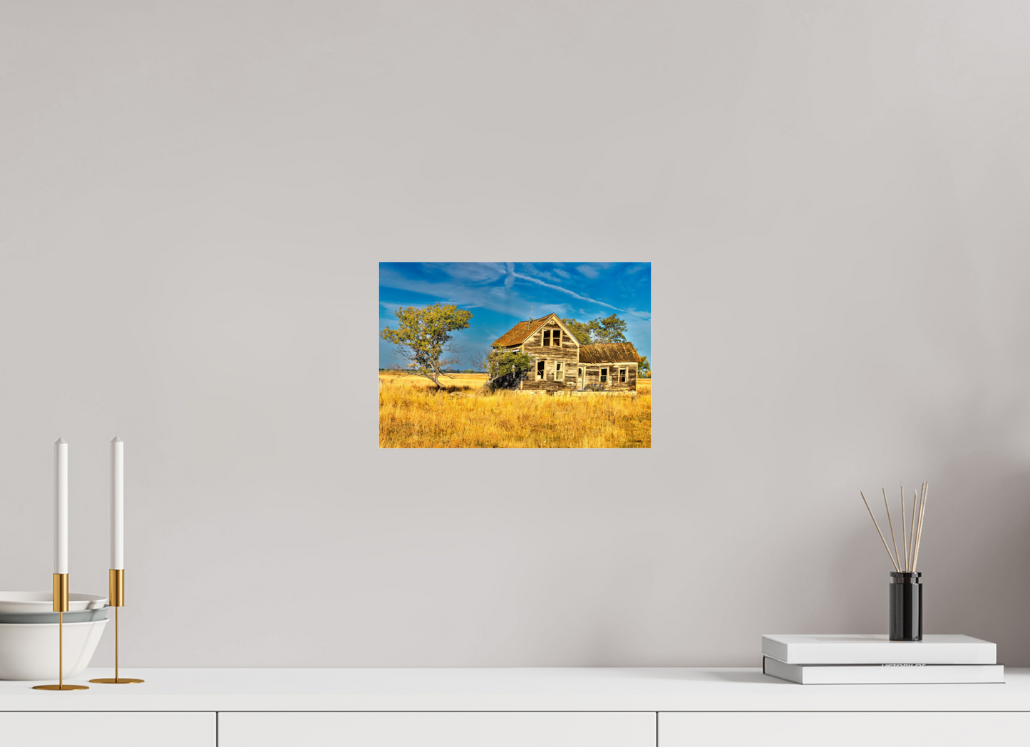 11.7 x 8″, Photo Print Under Acrylic Glass Lone Tree Metal Acrylic Glass
