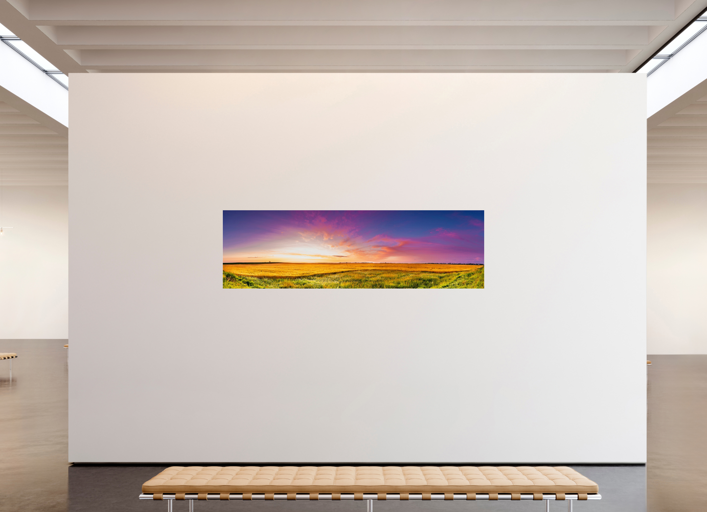 93.3 x 28″, Photo Print Under Acrylic Glass Mawby's Field Metal Acrylic Glass
