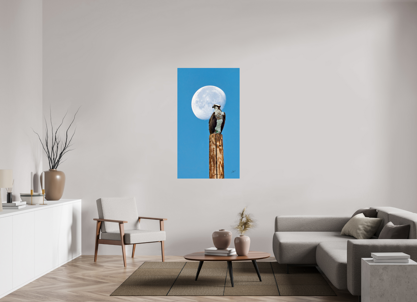 30.9 x 55″, Photo Print Under Acrylic Glass Moon Osprey Metal Acrylic Glass