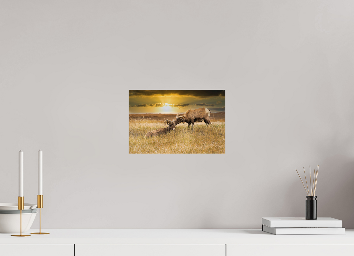 12 x 8″, Photo Print Under Acrylic Glass Badlands Sheep Kiss - Metal Acrylic Glass