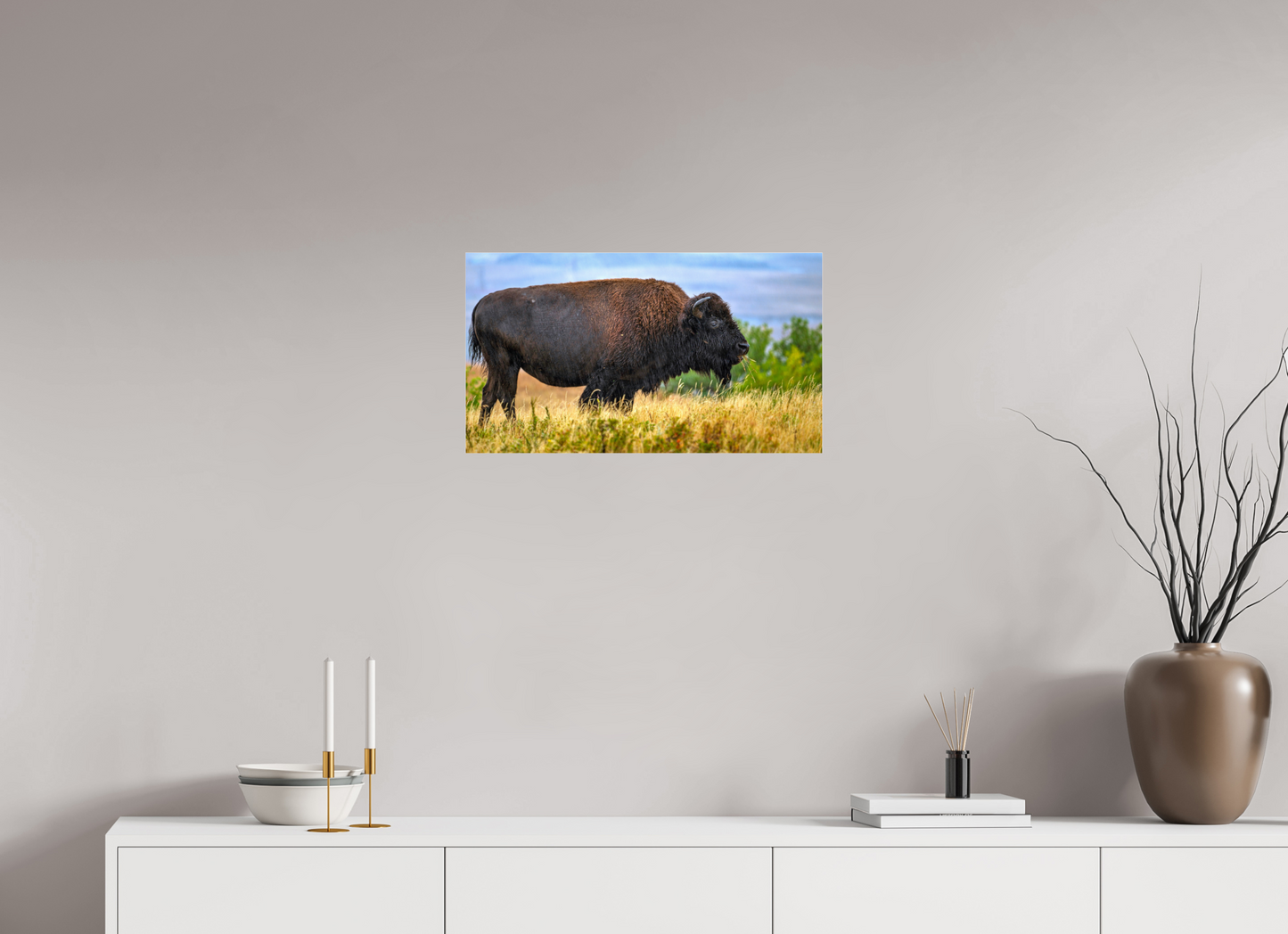 24 x 13.5″, Photo Print Under Acrylic Glass Medora Bison in Rain Metal Acrylic Glass