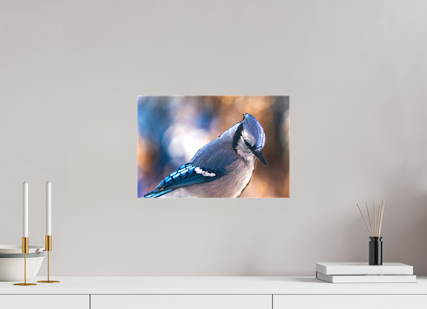 15 x 10″, Stretched Canvas Blue Jay