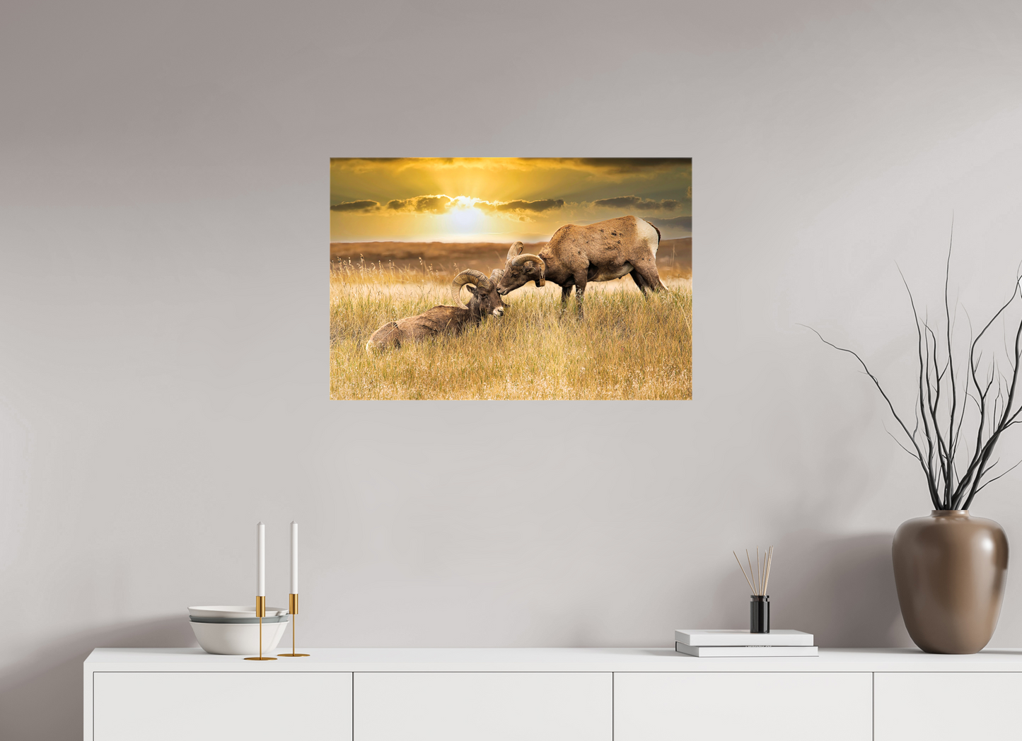 30 x 20″, Stretched Canvas Badlands Sheep Kiss