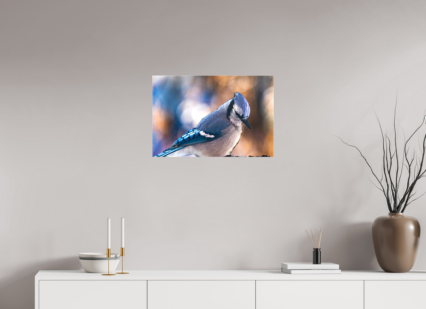 24 x 16″, Stretched Canvas Blue Jay