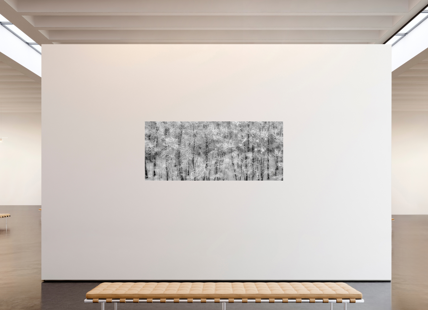 81.7 x 35″, Photo Print Under Acrylic Glass Shades of Winter Metal Acrylic Glass
