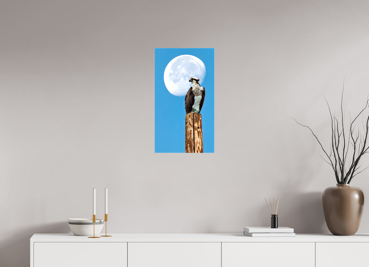 13.5 x 24″, Stretched Canvas Moon Osprey