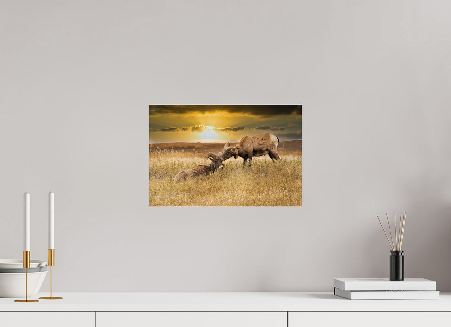 15 x 10″, Photo Print Under Acrylic Glass Badlands Sheep Kiss - Metal Acrylic Glass