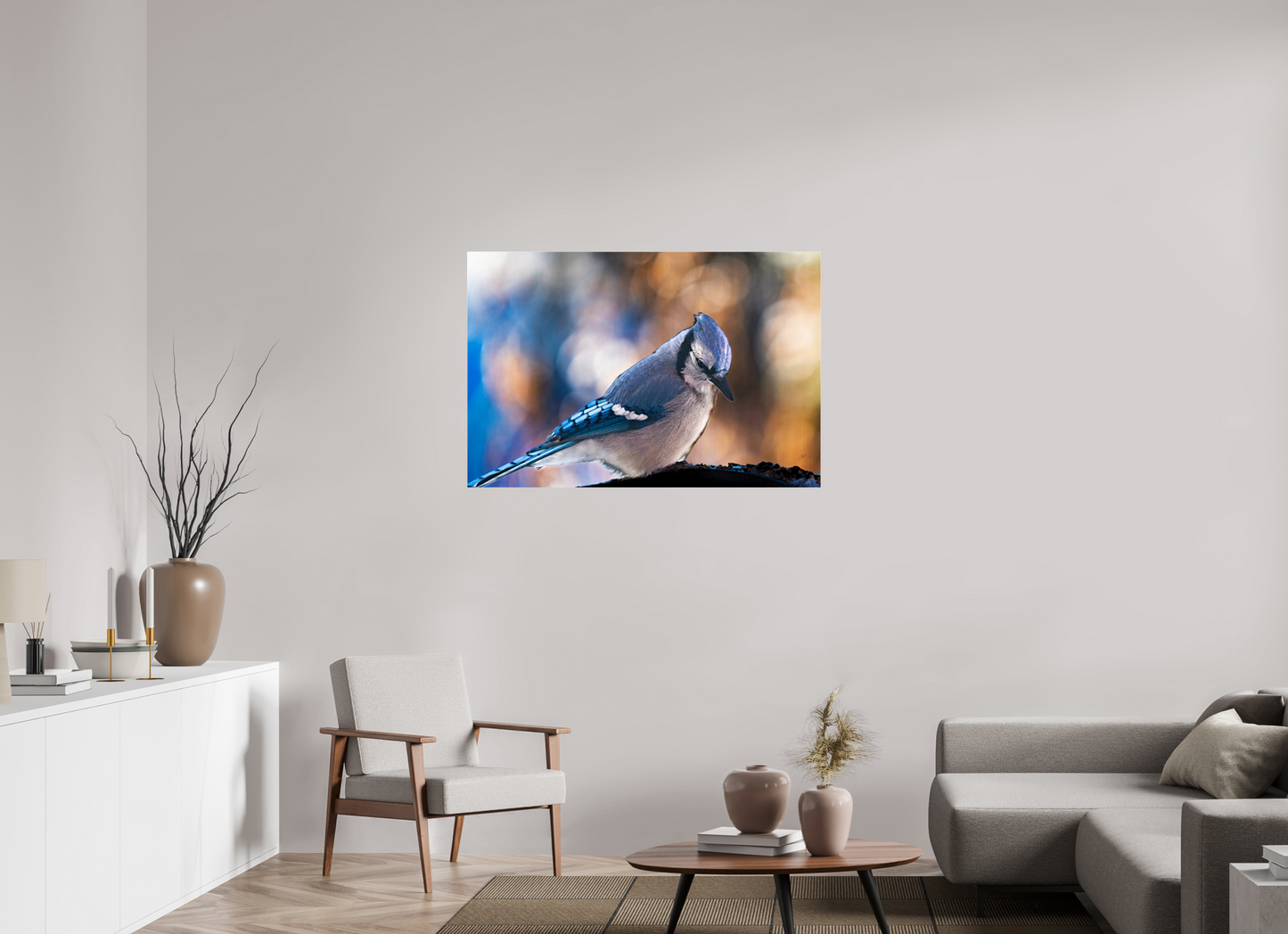 45 x 30″, Photoprint under Acrylic Glass Blue Jay