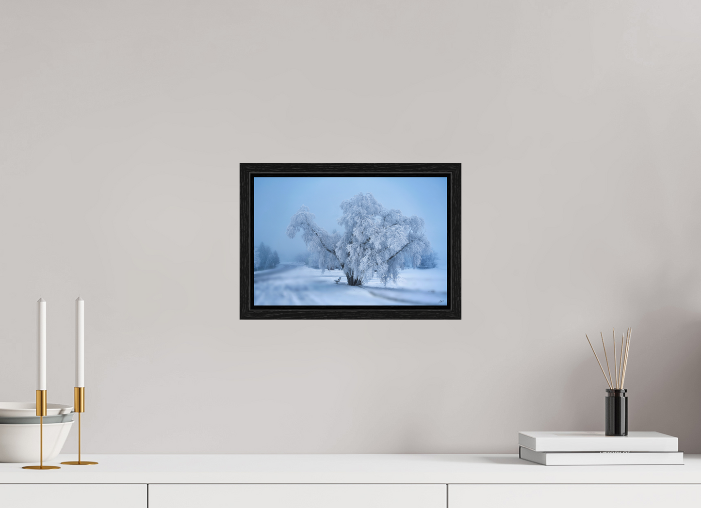 12 x 8″, Floater Frame An Oak in Frost