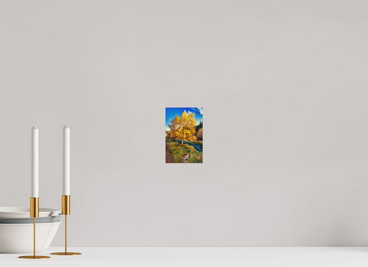 4 x 6″, Wood Print Spearfish Canyon Yellow Tree