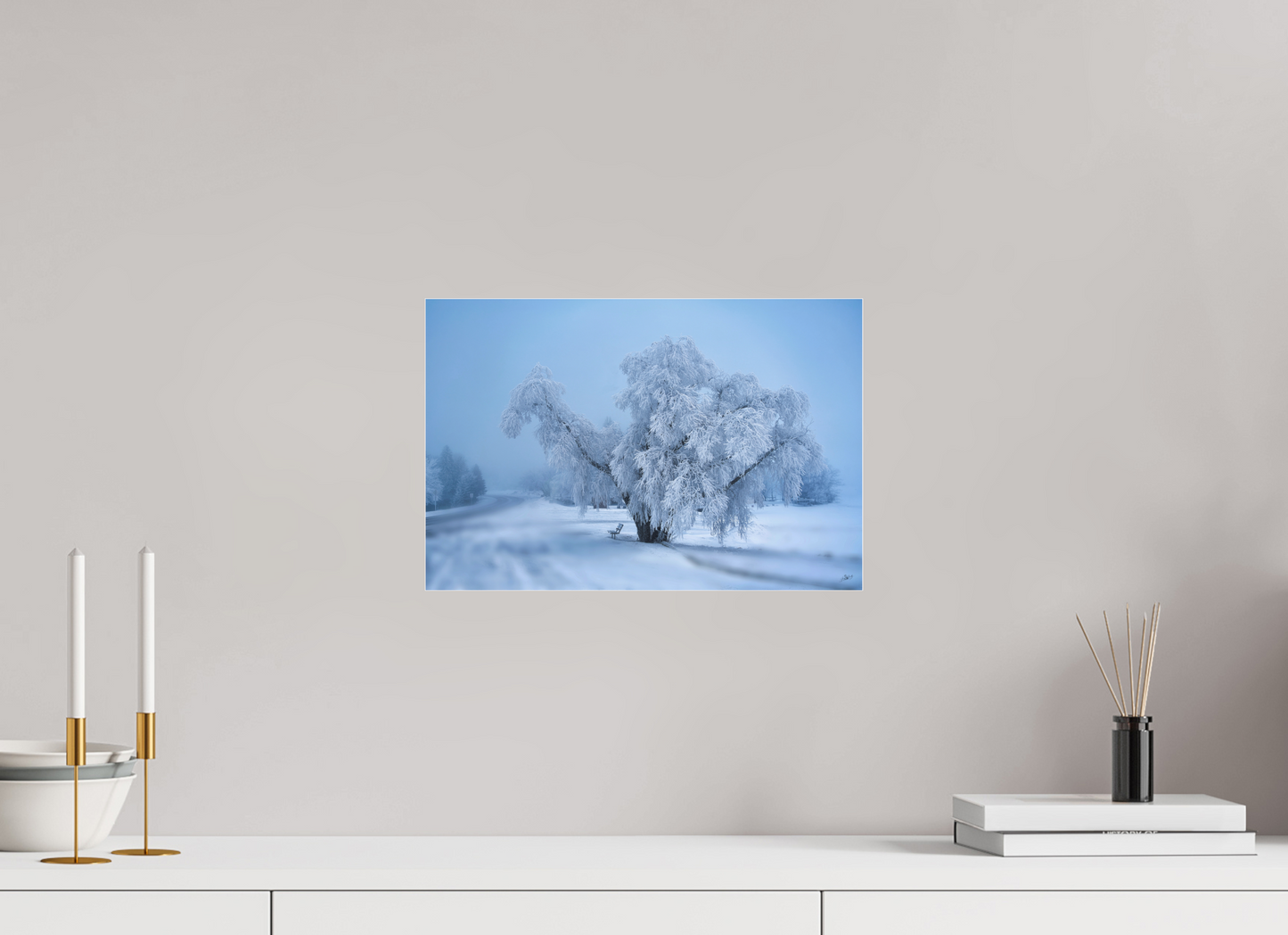 15 x 10″, Photo Print Under Acrylic Glass An Oak in Frost - Acrylic Glass