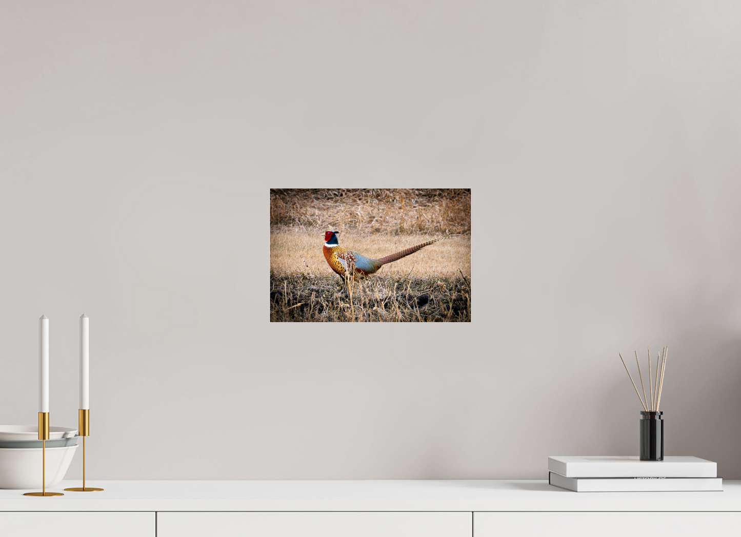 12 x 8″, Photo Print Under Acrylic Glass The Pheasant Aluminum Acrylic Glass