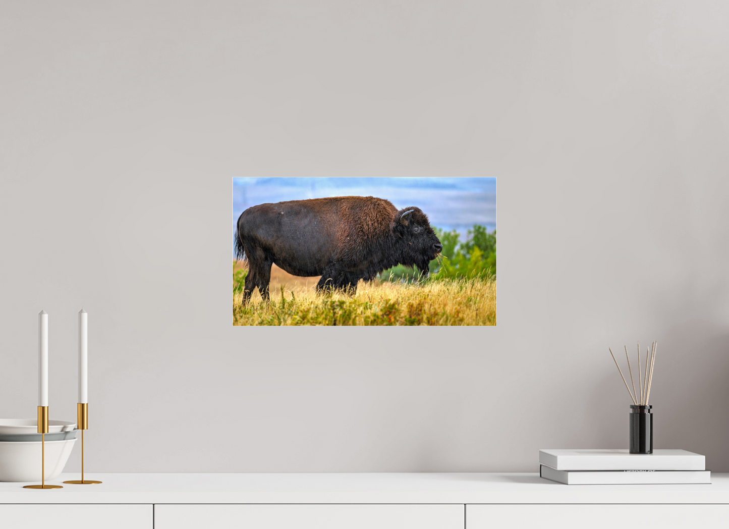 16 x 9″, Photo Print Under Acrylic Glass Medora Bison in Rain Metal Acrylic Glass