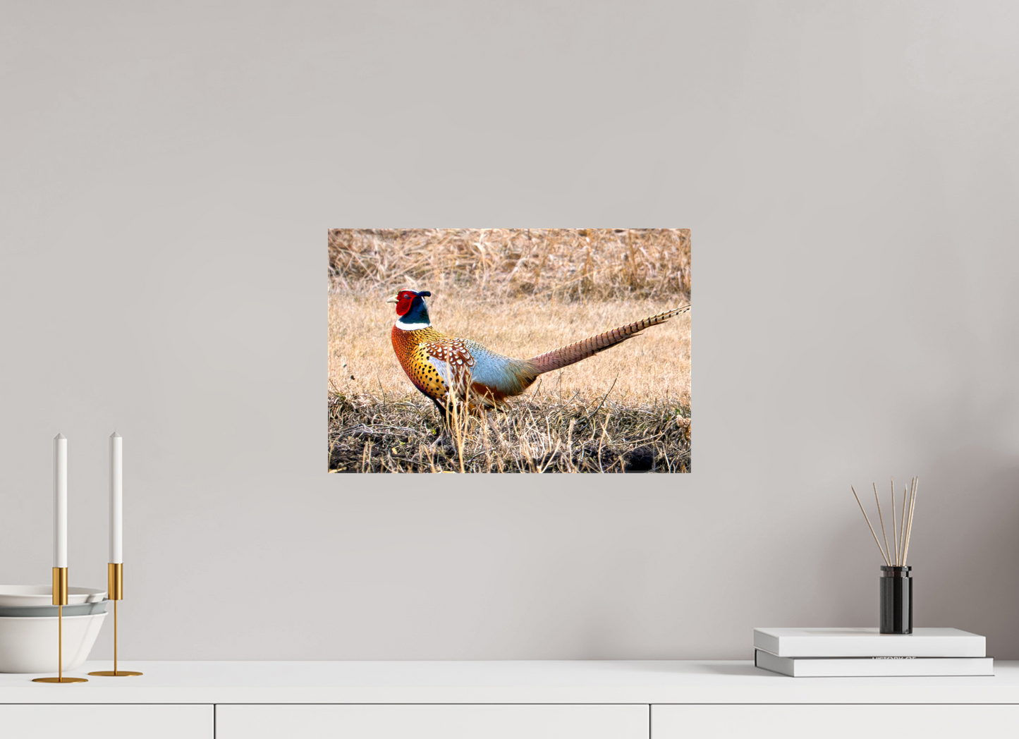 15 x 10″, Stretched Canvas The Pheasant