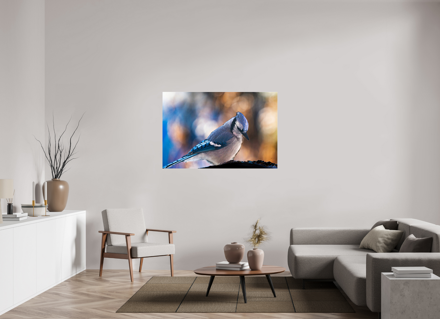 54 x 36″, Photoprint under Acrylic Glass Blue Jay
