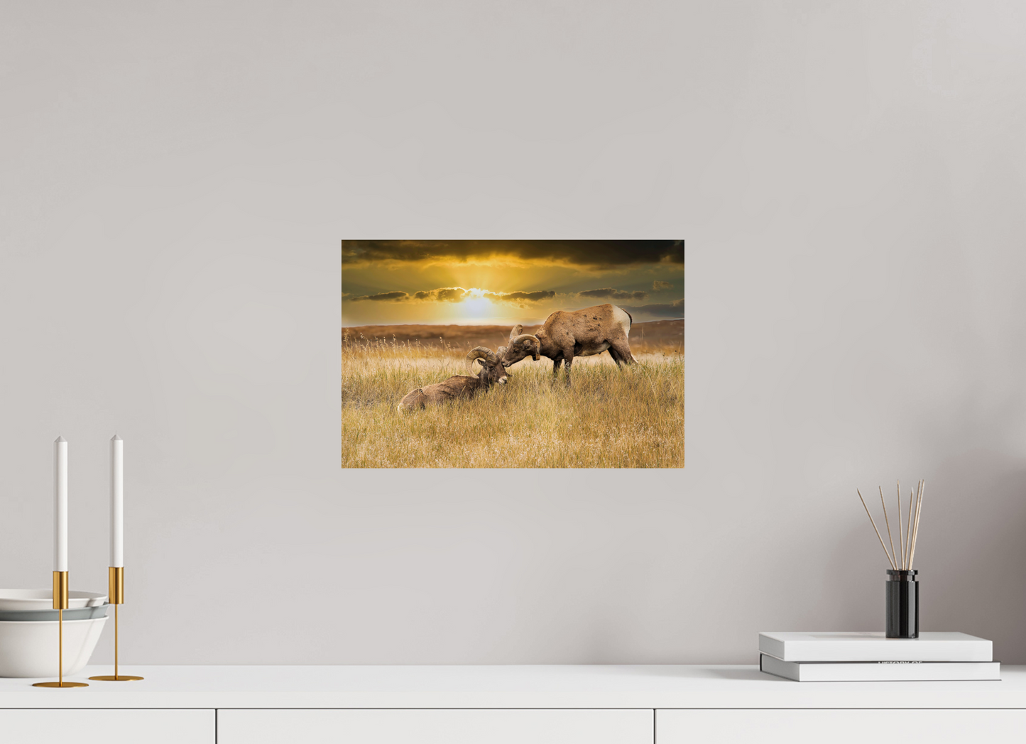 15 x 10″, Photo Print On Fuji Crystal DP II Badlands Sheep Kiss