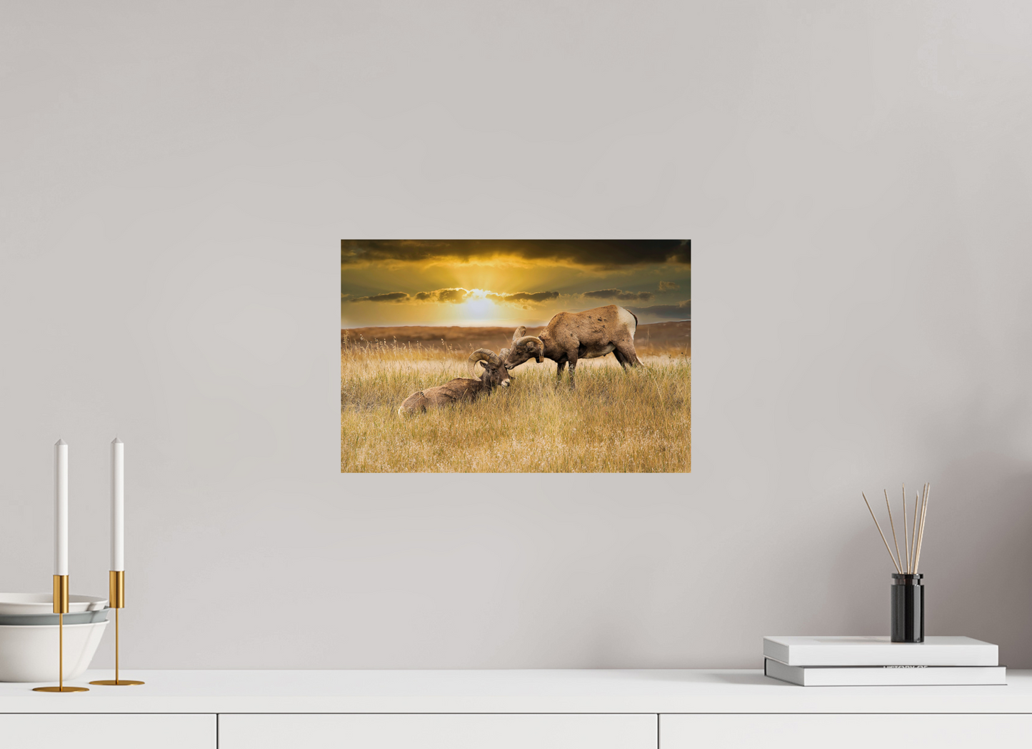 15 x 10″, Metal Prints Badlands Sheep Kiss