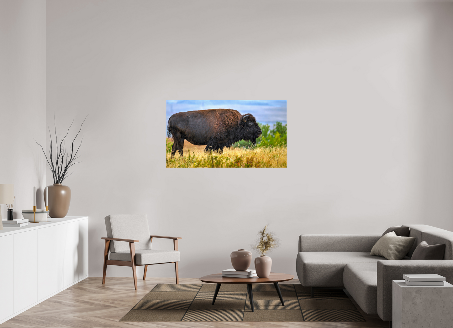 55 x 30.9″, Photo Print Under Acrylic Glass Medora Bison in Rain Metal Acrylic Glass