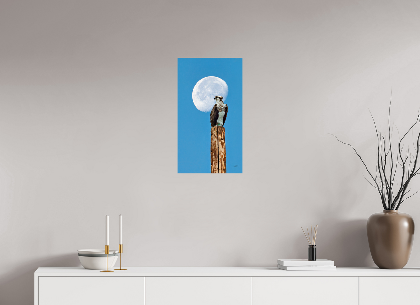 13.5 x 24″, Photo Print On Fuji Crystal DP II Moon Osprey